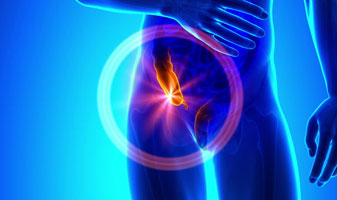 Appendix
