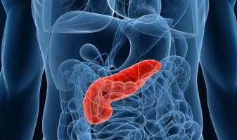 Hepatopancreaticobiliary
