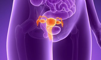 Endo-Gynec Surgery