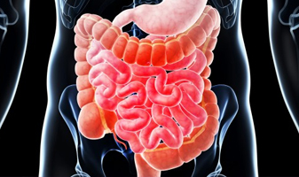 Laparoscopic Gastro Cancer Surgery