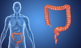 Colo-Rectal Cancer Department